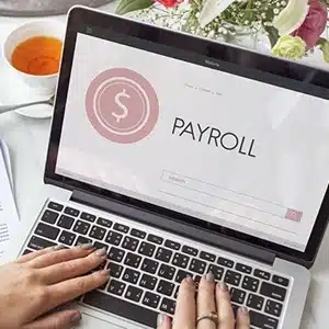 payroll software payroll software